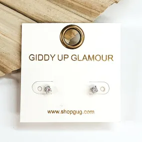 Dainty Silver Tone Clear Crystal Stud Earrings